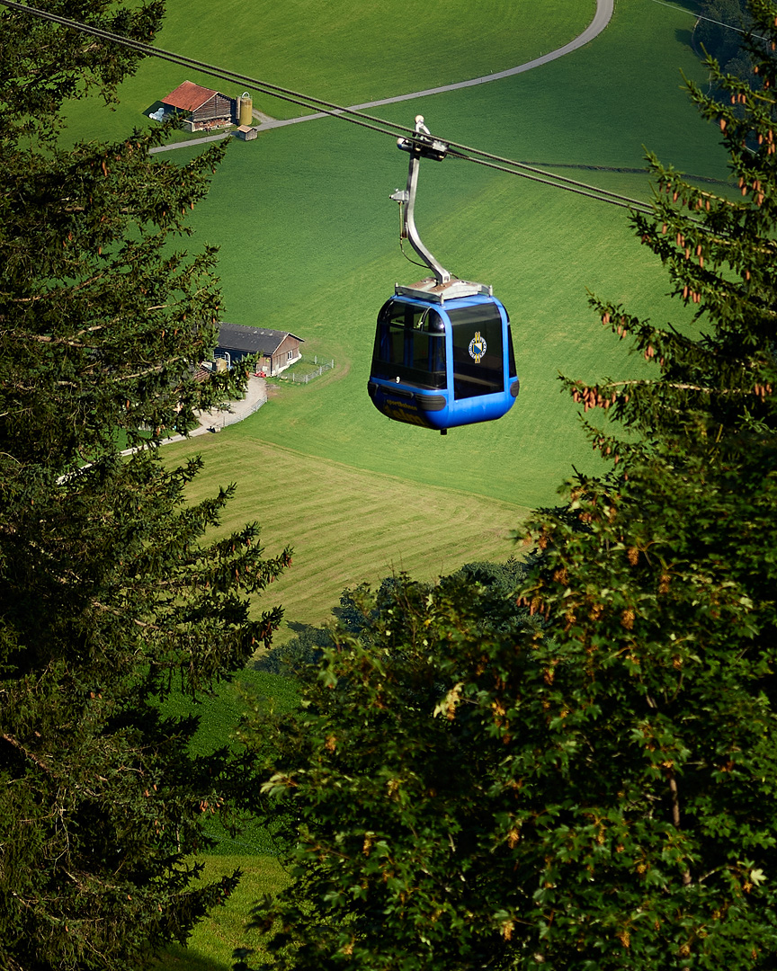 Das Ski- und Ferienhaus Alpina im Sommer