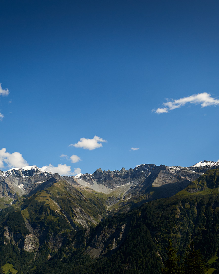 Das Ski- und Ferienhaus Alpina im Sommer