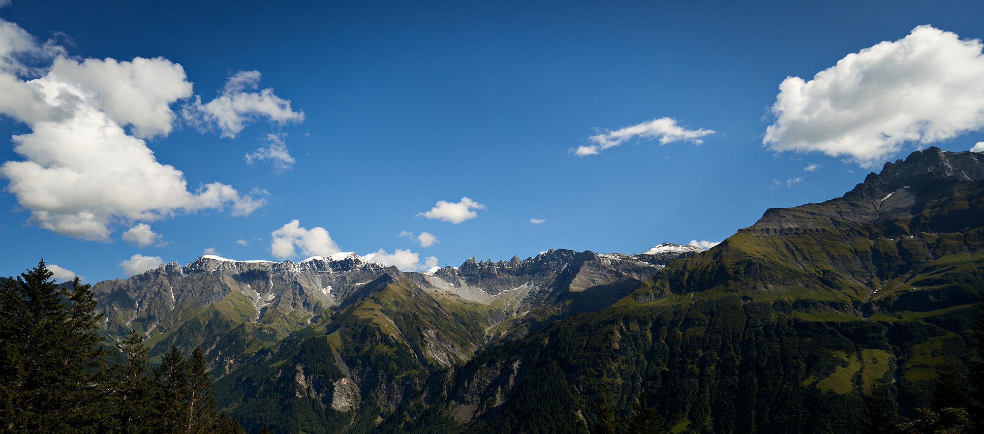Das Ski- und Ferienhaus Alpina im Sommer
